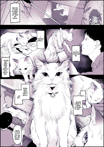 Neko cover