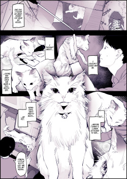 Neko
