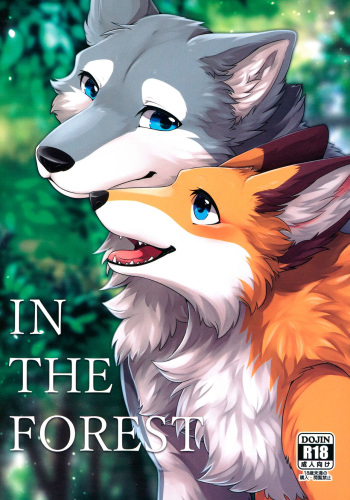 IN THE FOREST cover