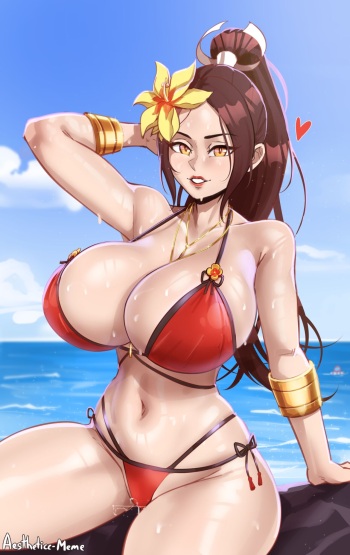 Nippon Ecchi!! cover