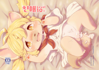 Shinai Level 10+ cover
