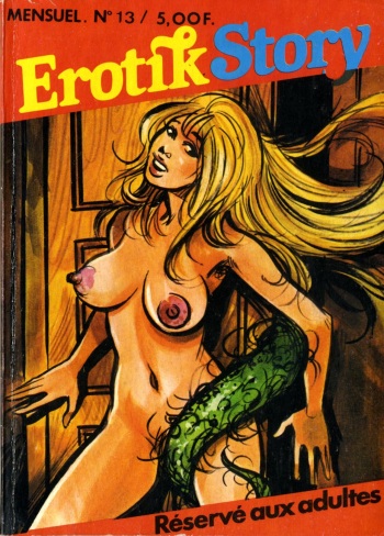 Erotik Story #13 - L’araignée  + Jalousie cover