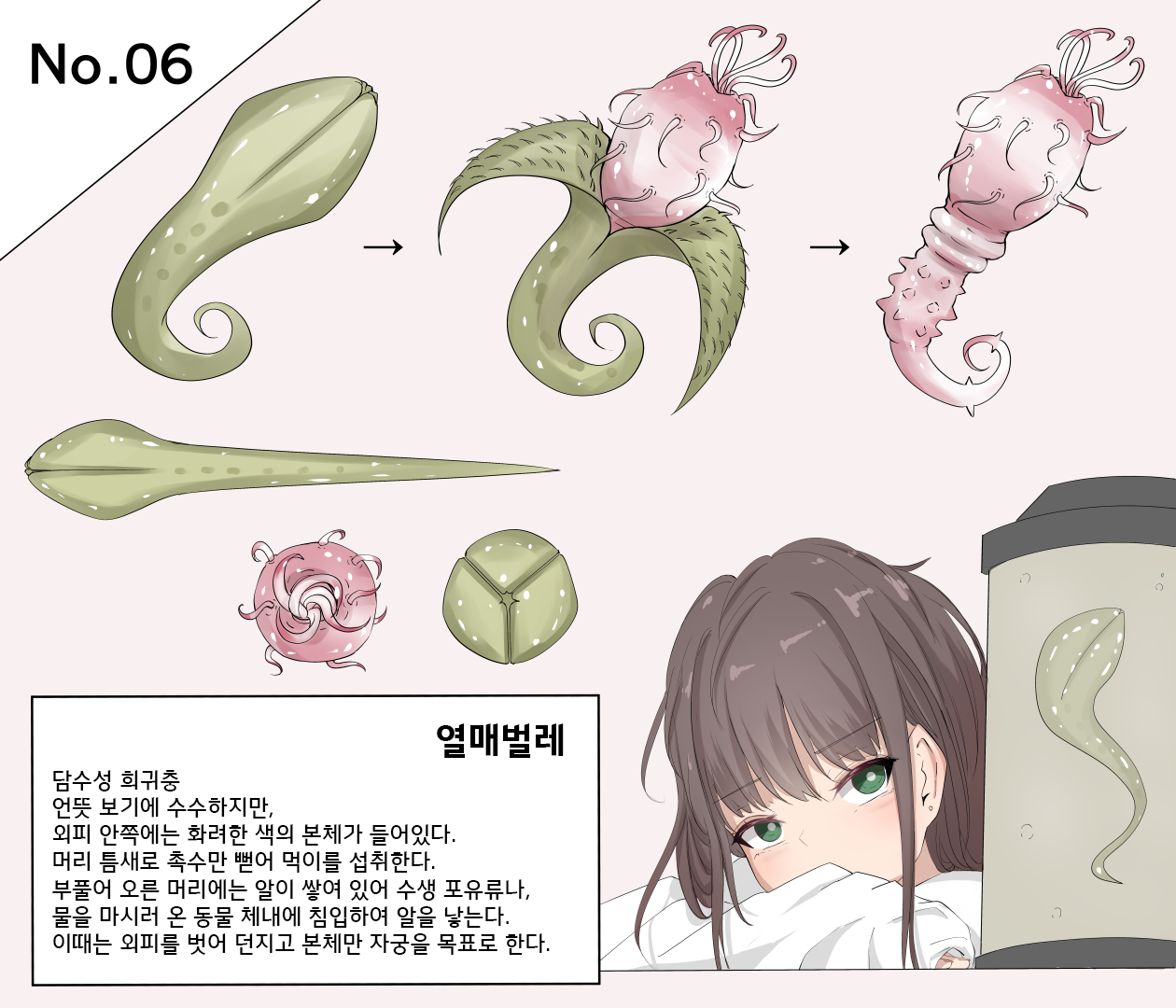 Mushi Research Report No.6 page 1 full