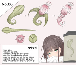 Mushi Research Report No.6