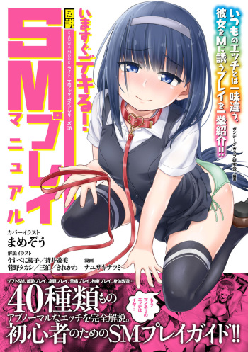 いますぐデキる 図説SMプレイマニュアル cover