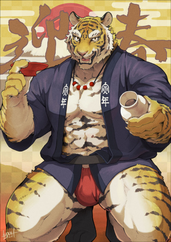 Year of the Tiger, 2022 Chinese Zodiac cover