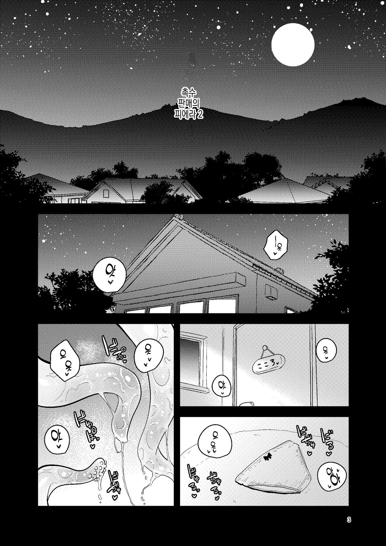 Shokushu Uri no Fiera 2 | 촉수 판매의 피에라 2 page 3 full