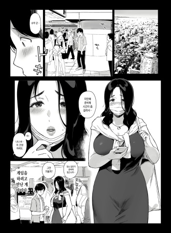 Gaming Harem 4 cover