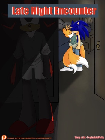 Late Night Encounter cover