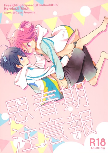 Shishunki Chuuihou cover