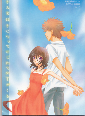Kimi o suki ni natte hajimete no natsu ga kuru. cover