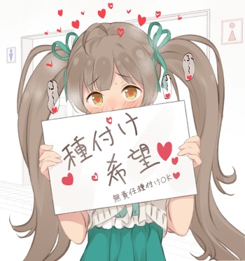 Serika to Iroiro cover