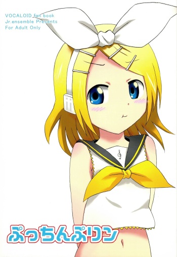 Pucchin Pudding cover