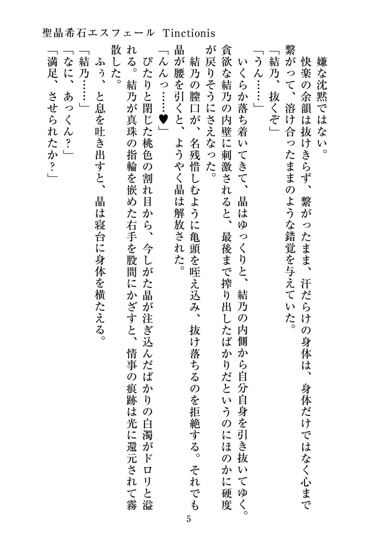 聖晶希石エスフェール Tinctionis page 6 full