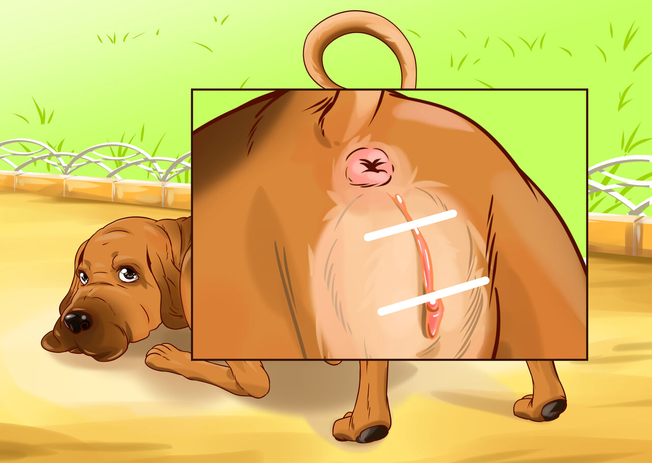 Bloodhound page 3 full