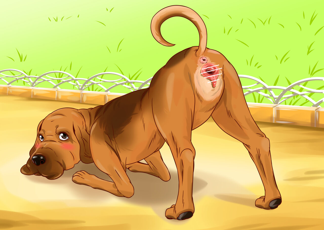 Bloodhound page 4 full