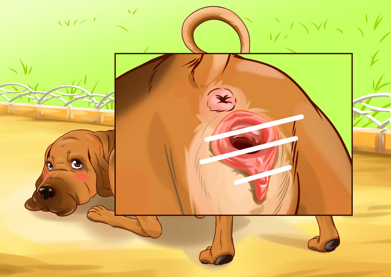 Bloodhound page 5 full