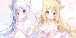 しらたま❄