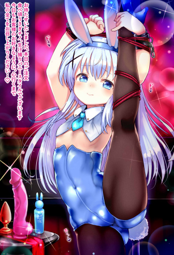 Chino EX24 Gochi Bunny 2 cover