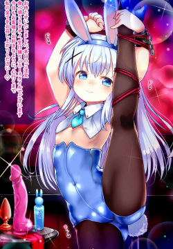 Chino EX24 Gochi Bunny 2