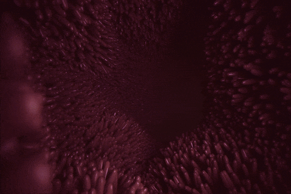 Devourer_ITA page 7 full