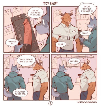Toy Shop cover