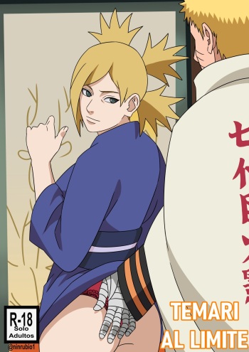 TEMARI AL LIMITE cover